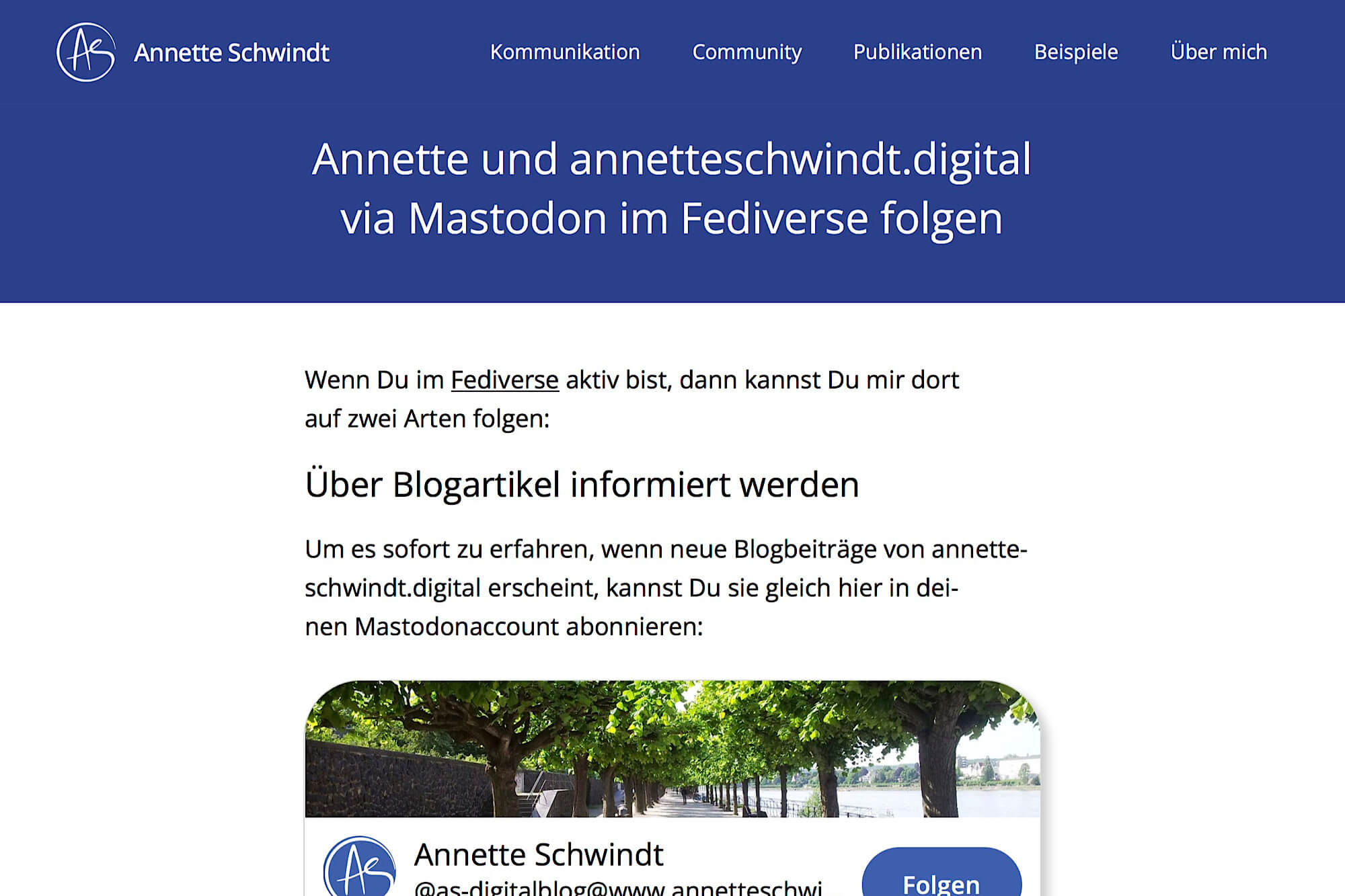 Screenshot des obersten Teil der Landingpage von annetteschwindt.digital, auf der die verschiedenen Möglichkeiten zum Folgen via Fediverse gezeigt werden